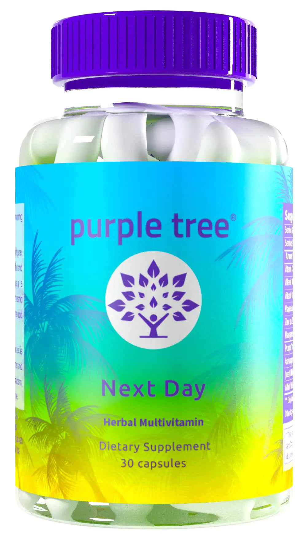purple tree Next Day Post-Celebration Wellness - Take Tomorrow | Replenish & Feel Your Best | Ashwagandha Ginger Peppermint Milk Thistle Electrolytes Vitamins 30 Pills